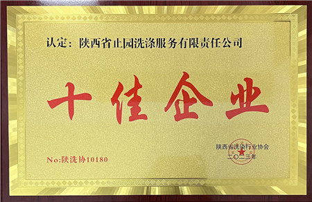 十佳企業(yè)_副本.jpg